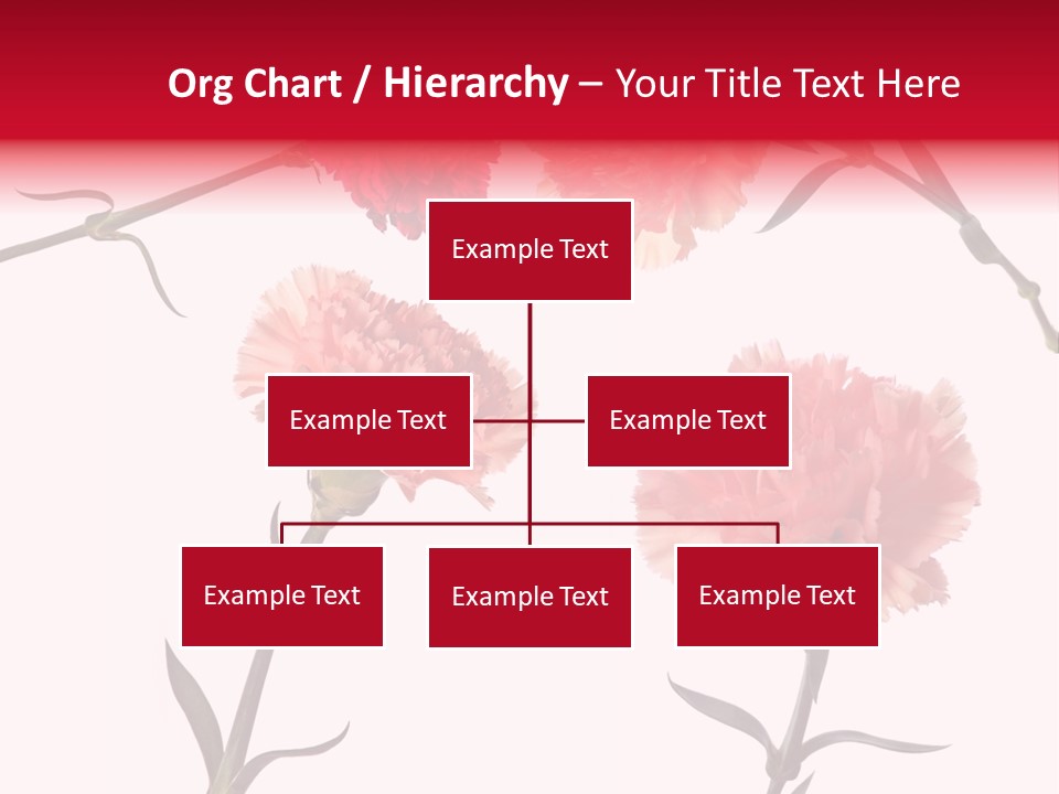 Set White Background Beauty PowerPoint Template