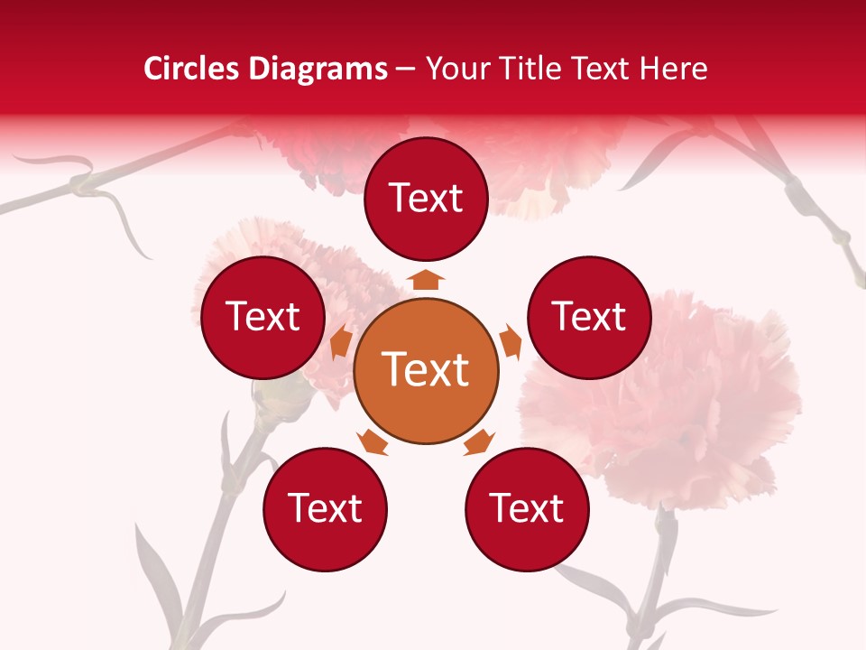 Set White Background Beauty PowerPoint Template