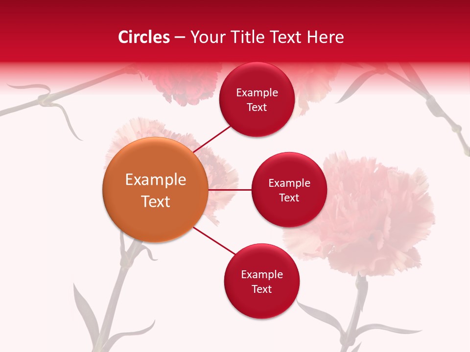 Set White Background Beauty PowerPoint Template