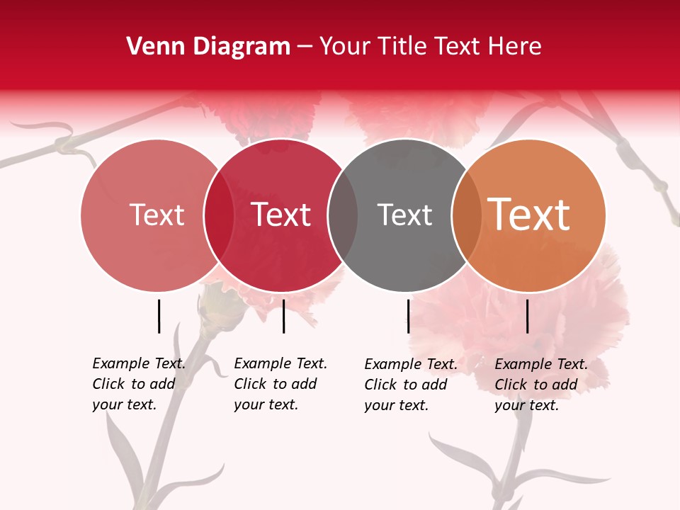 Set White Background Beauty PowerPoint Template