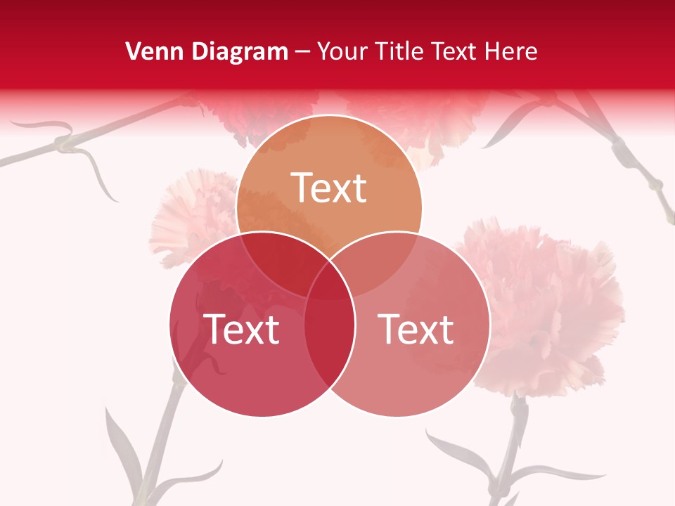 Set White Background Beauty PowerPoint Template