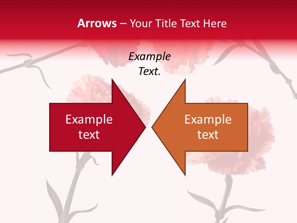 Set White Background Beauty PowerPoint Template