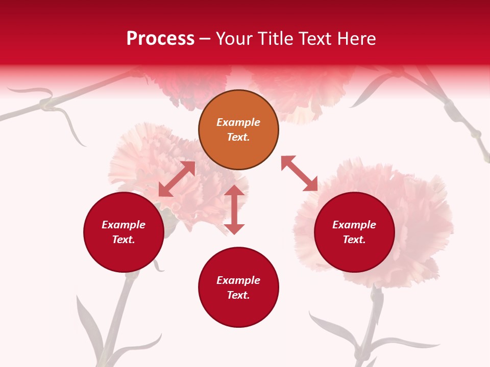 Set White Background Beauty PowerPoint Template