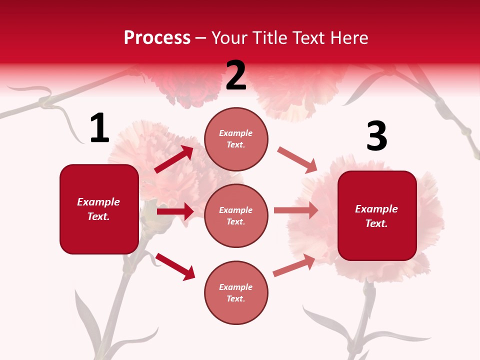 Set White Background Beauty PowerPoint Template