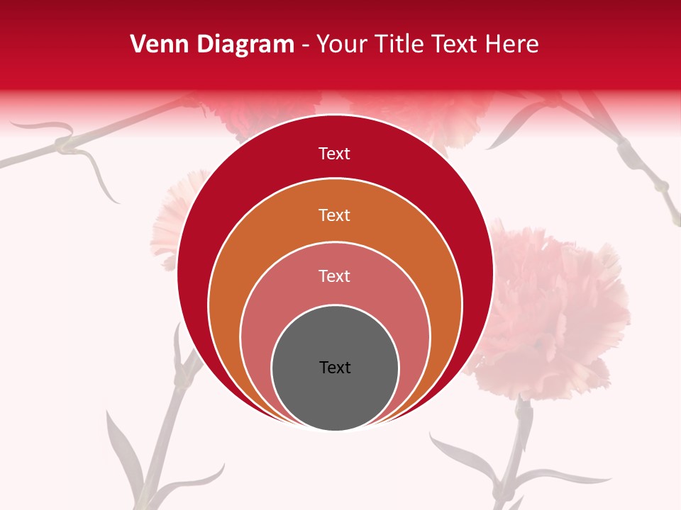 Set White Background Beauty PowerPoint Template