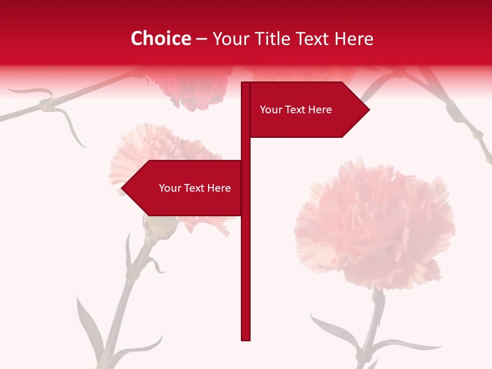 Set White Background Beauty PowerPoint Template