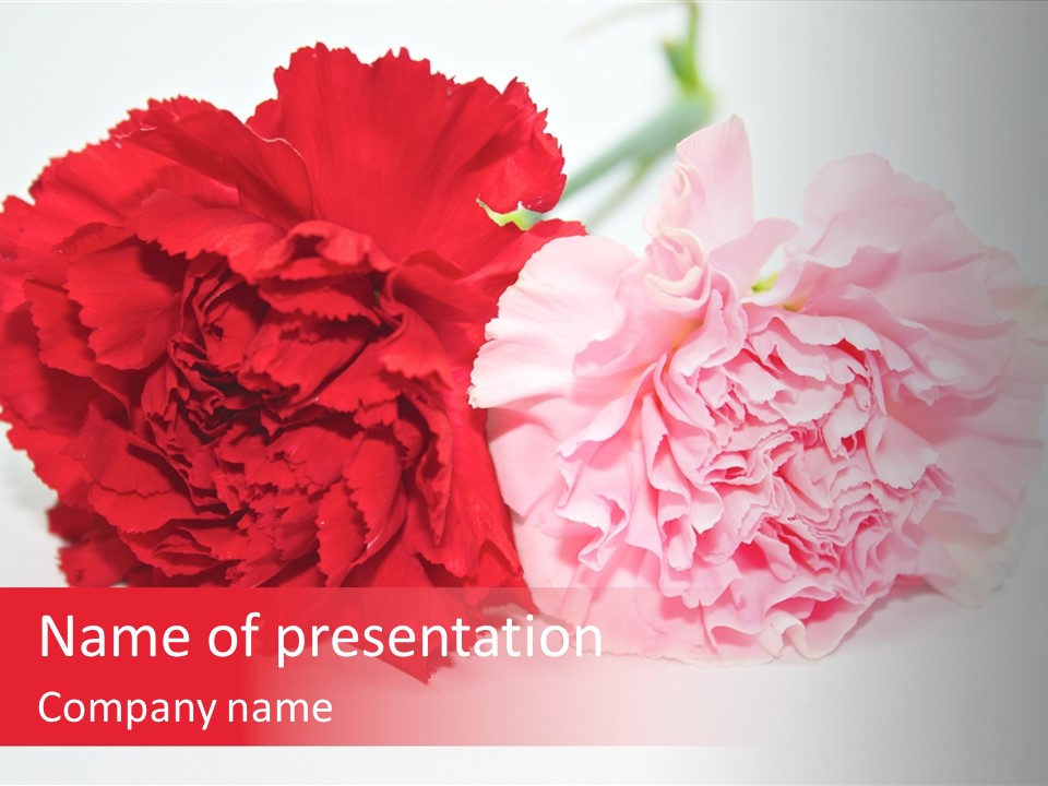 Floral Nature Flora PowerPoint Template