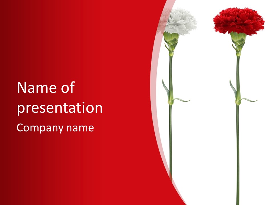 Carnation Card Red PowerPoint Template