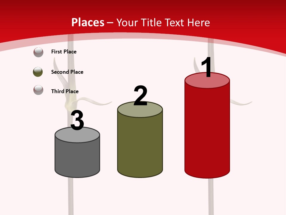 Carnation Card Red PowerPoint Template