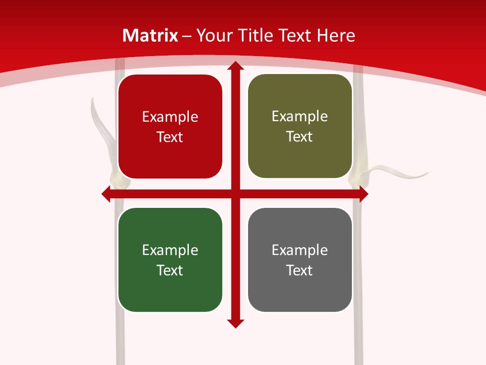 Carnation Card Red PowerPoint Template