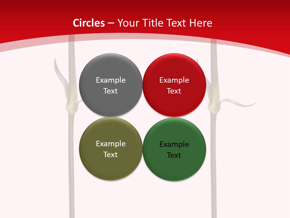 Carnation Card Red PowerPoint Template