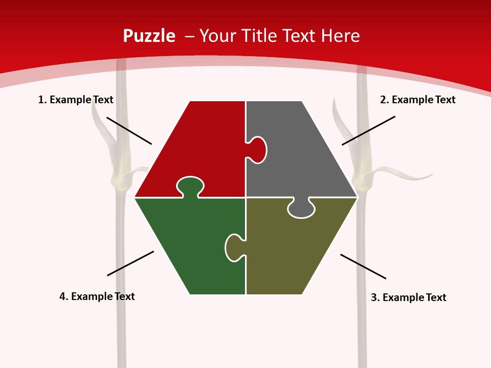 Carnation Card Red PowerPoint Template