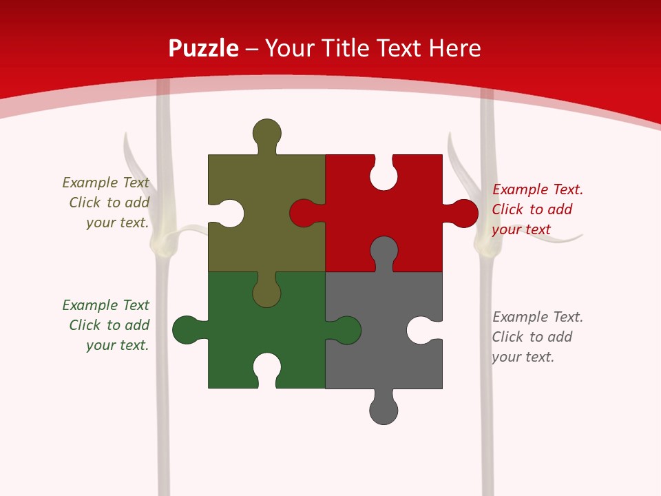 Carnation Card Red PowerPoint Template