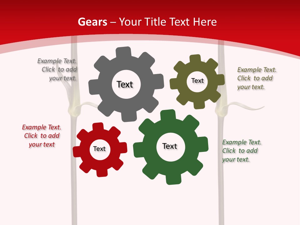 Carnation Card Red PowerPoint Template