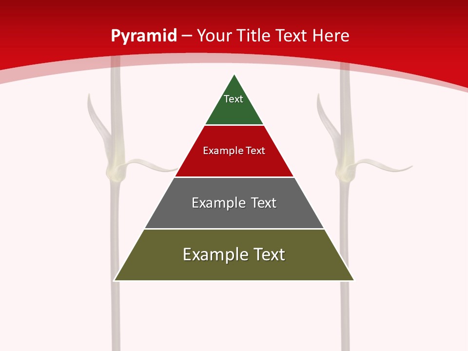 Carnation Card Red PowerPoint Template