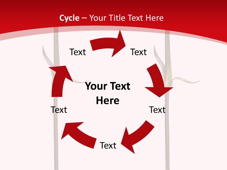 Carnation Card Red PowerPoint Template