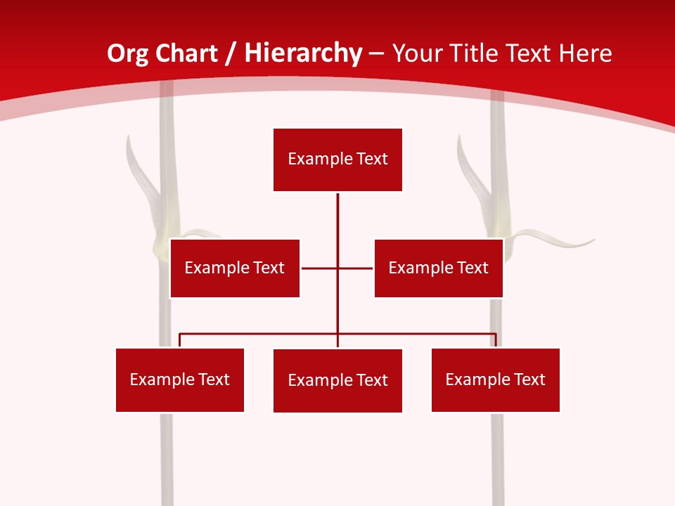 Carnation Card Red PowerPoint Template