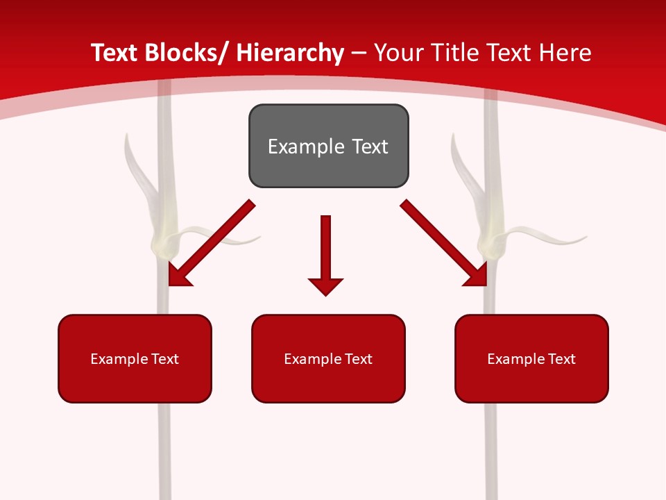Carnation Card Red PowerPoint Template