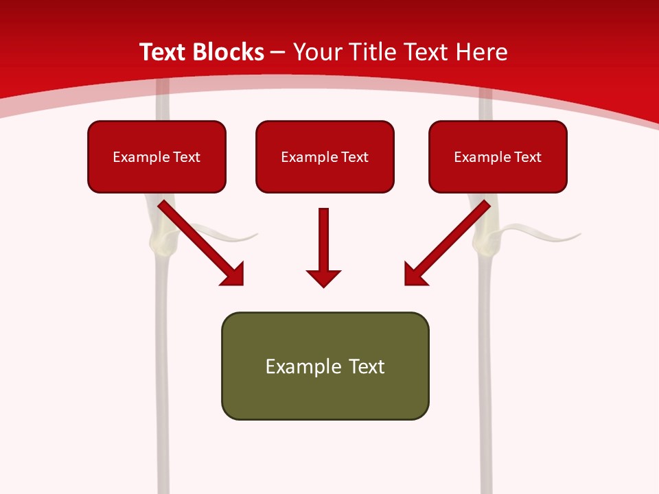 Carnation Card Red PowerPoint Template
