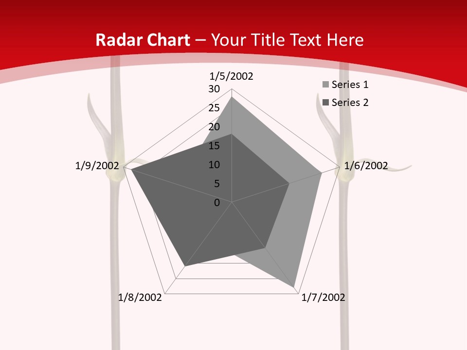 Carnation Card Red PowerPoint Template