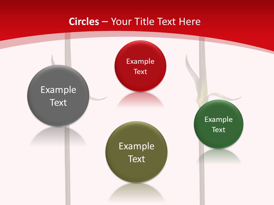 Carnation Card Red PowerPoint Template