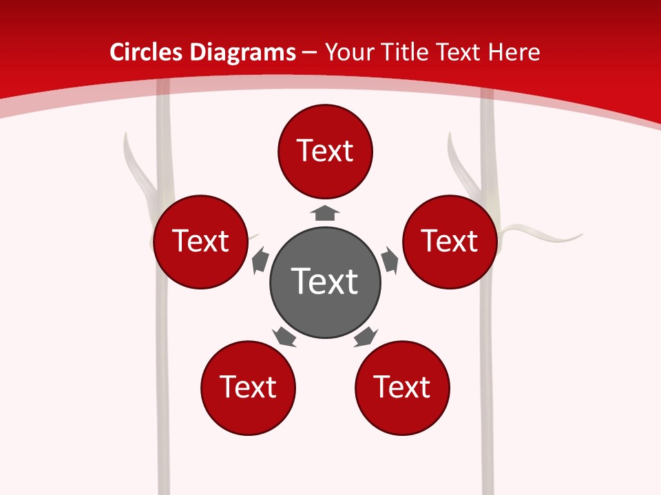 Carnation Card Red PowerPoint Template