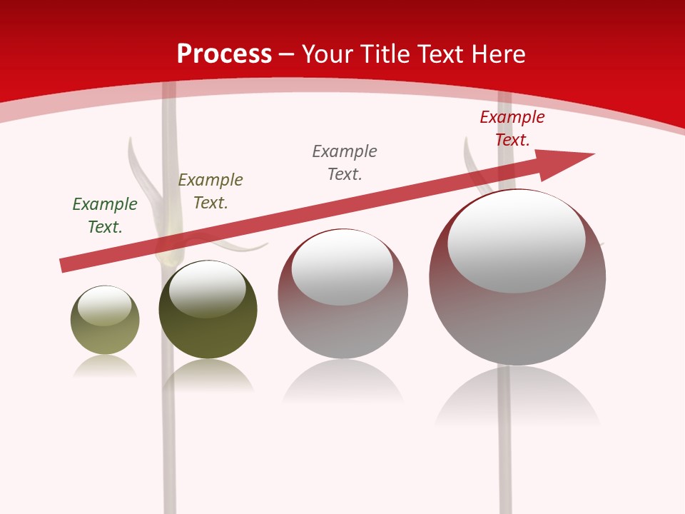 Carnation Card Red PowerPoint Template