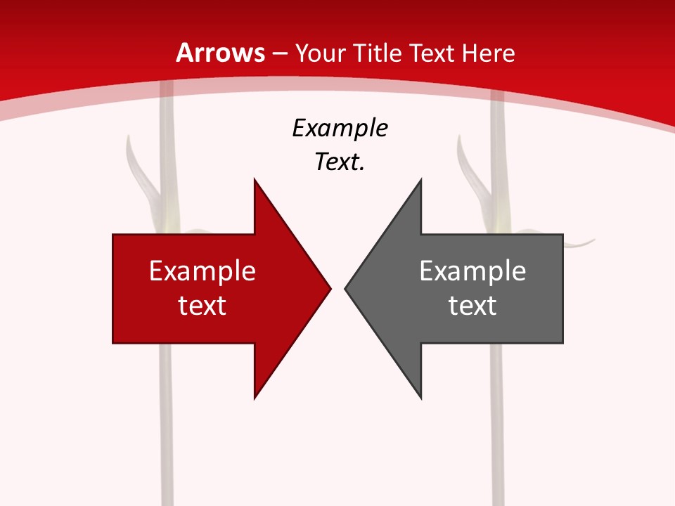 Carnation Card Red PowerPoint Template