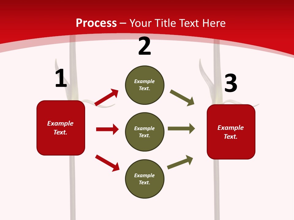 Carnation Card Red PowerPoint Template