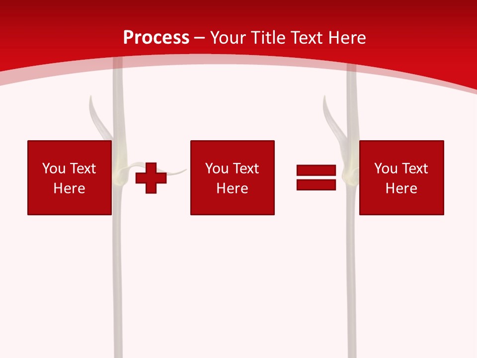 Carnation Card Red PowerPoint Template