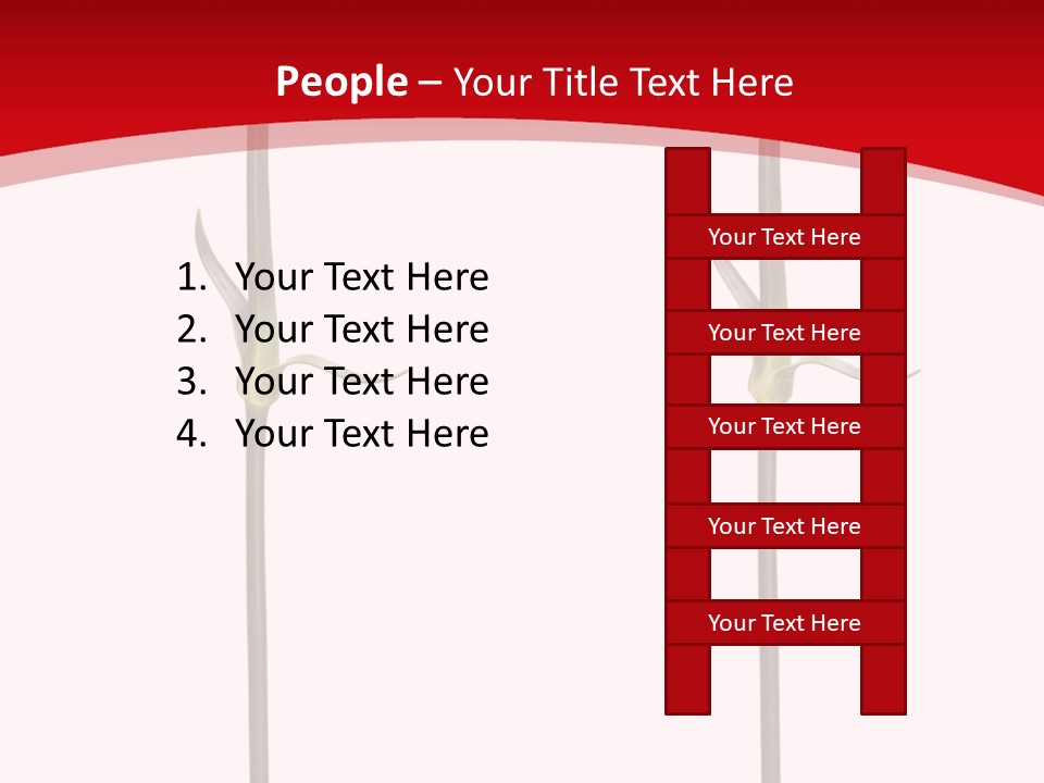 Carnation Card Red PowerPoint Template