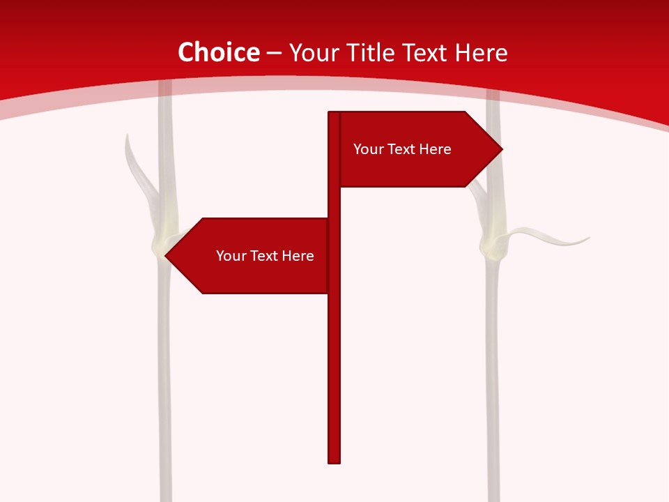 Carnation Card Red PowerPoint Template