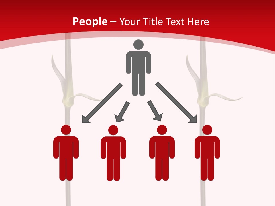 Carnation Card Red PowerPoint Template