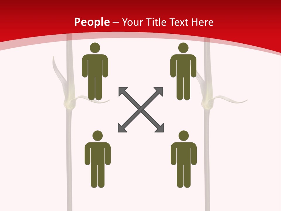 Carnation Card Red PowerPoint Template