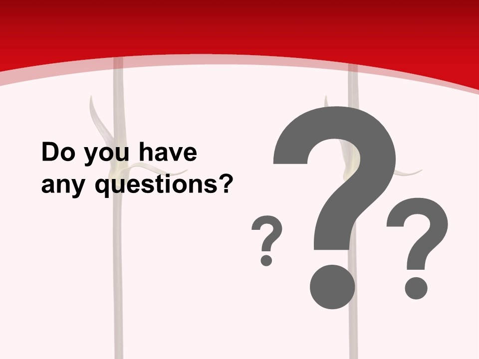 Carnation Card Red PowerPoint Template