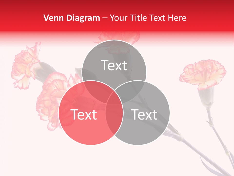 Elegant Flowers Beautiful PowerPoint Template