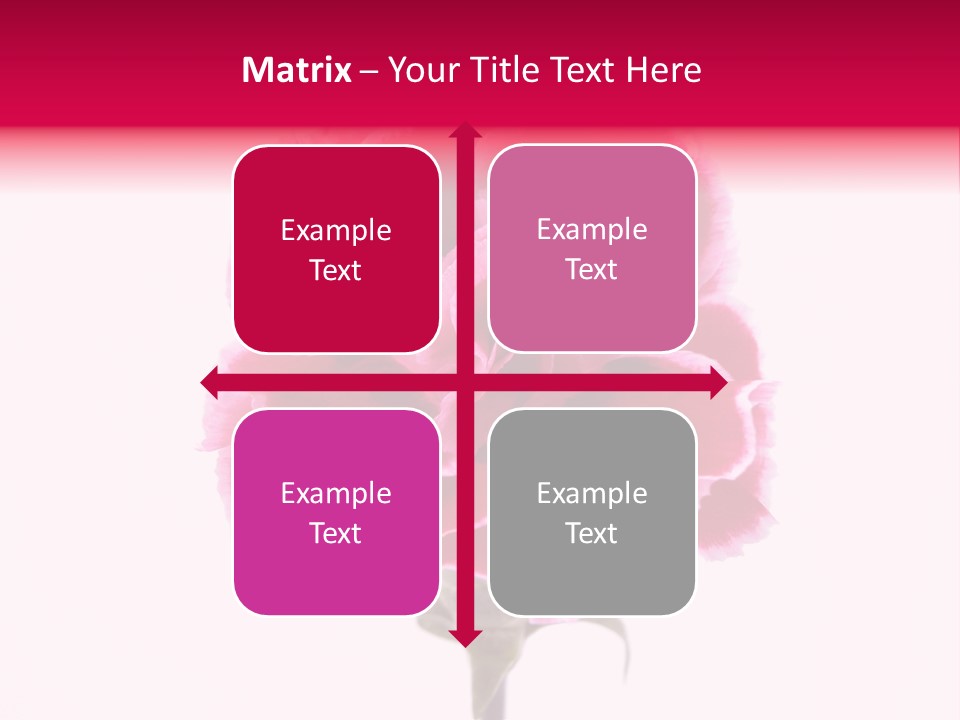Plant Carnation Flora PowerPoint Template