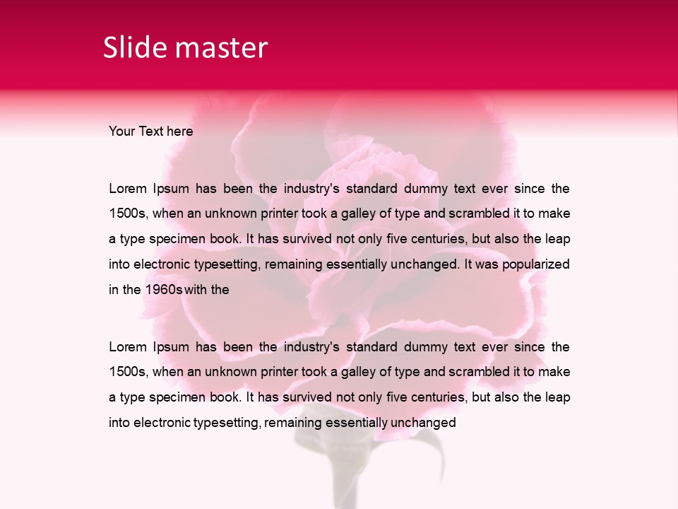 Plant Carnation Flora PowerPoint Template