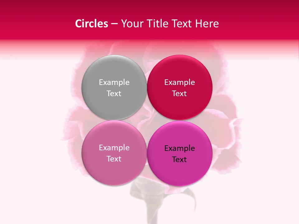 Plant Carnation Flora PowerPoint Template