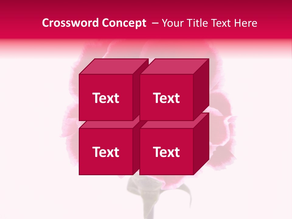 Plant Carnation Flora PowerPoint Template