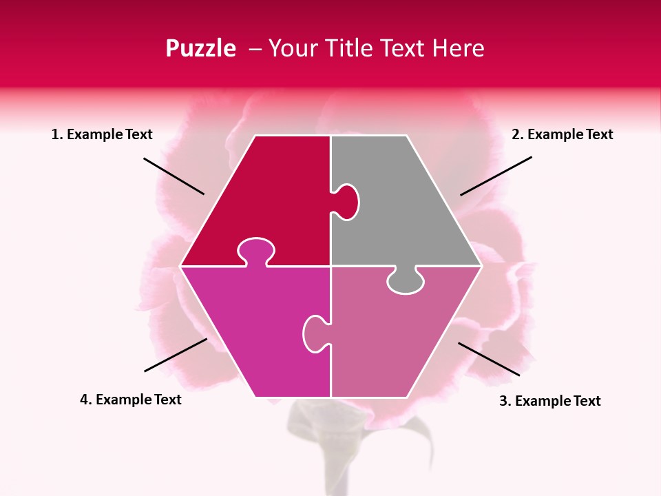 Plant Carnation Flora PowerPoint Template