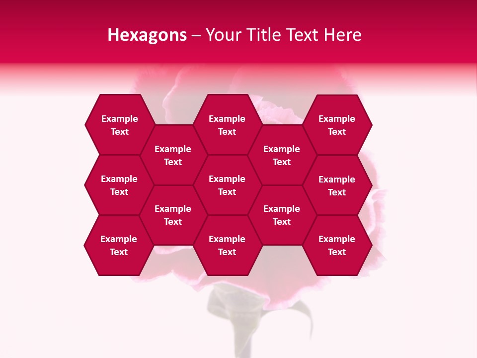 Plant Carnation Flora PowerPoint Template
