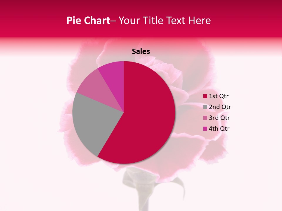 Plant Carnation Flora PowerPoint Template