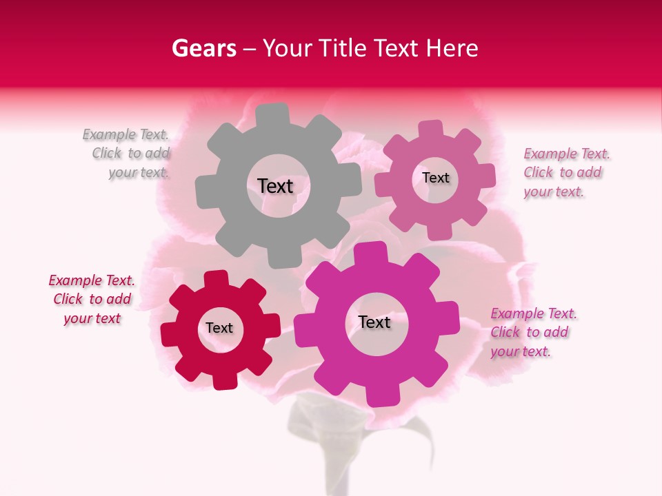 Plant Carnation Flora PowerPoint Template