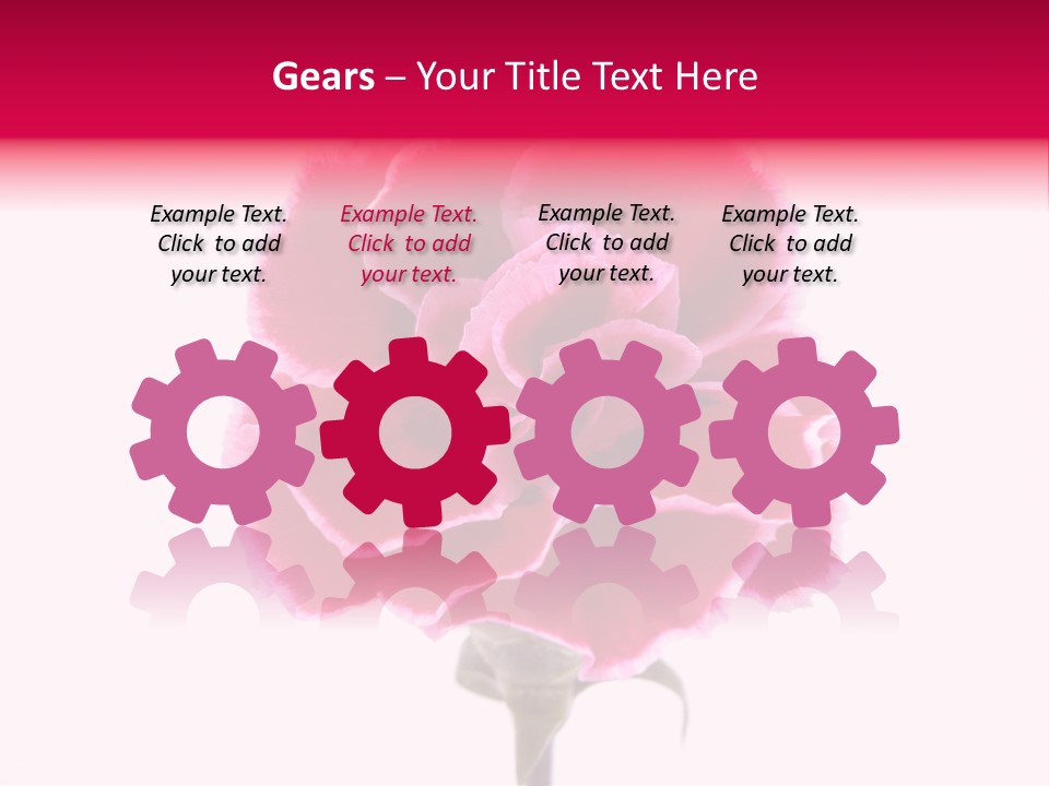 Plant Carnation Flora PowerPoint Template