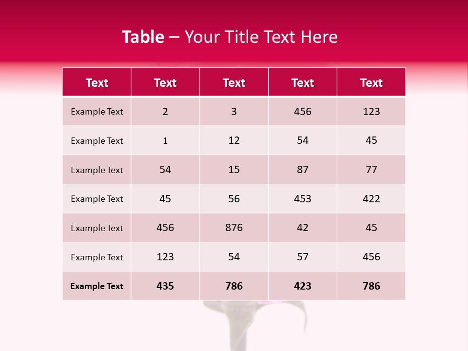 Plant Carnation Flora PowerPoint Template