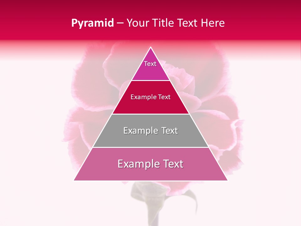 Plant Carnation Flora PowerPoint Template
