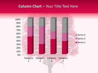 Plant Carnation Flora PowerPoint Template