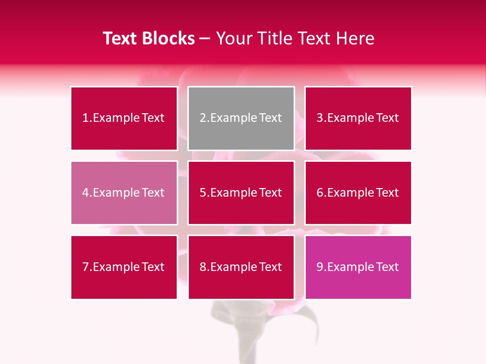 Plant Carnation Flora PowerPoint Template