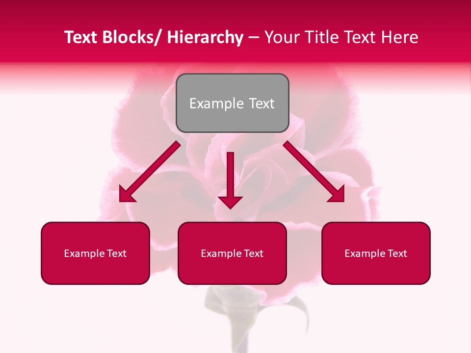 Plant Carnation Flora PowerPoint Template